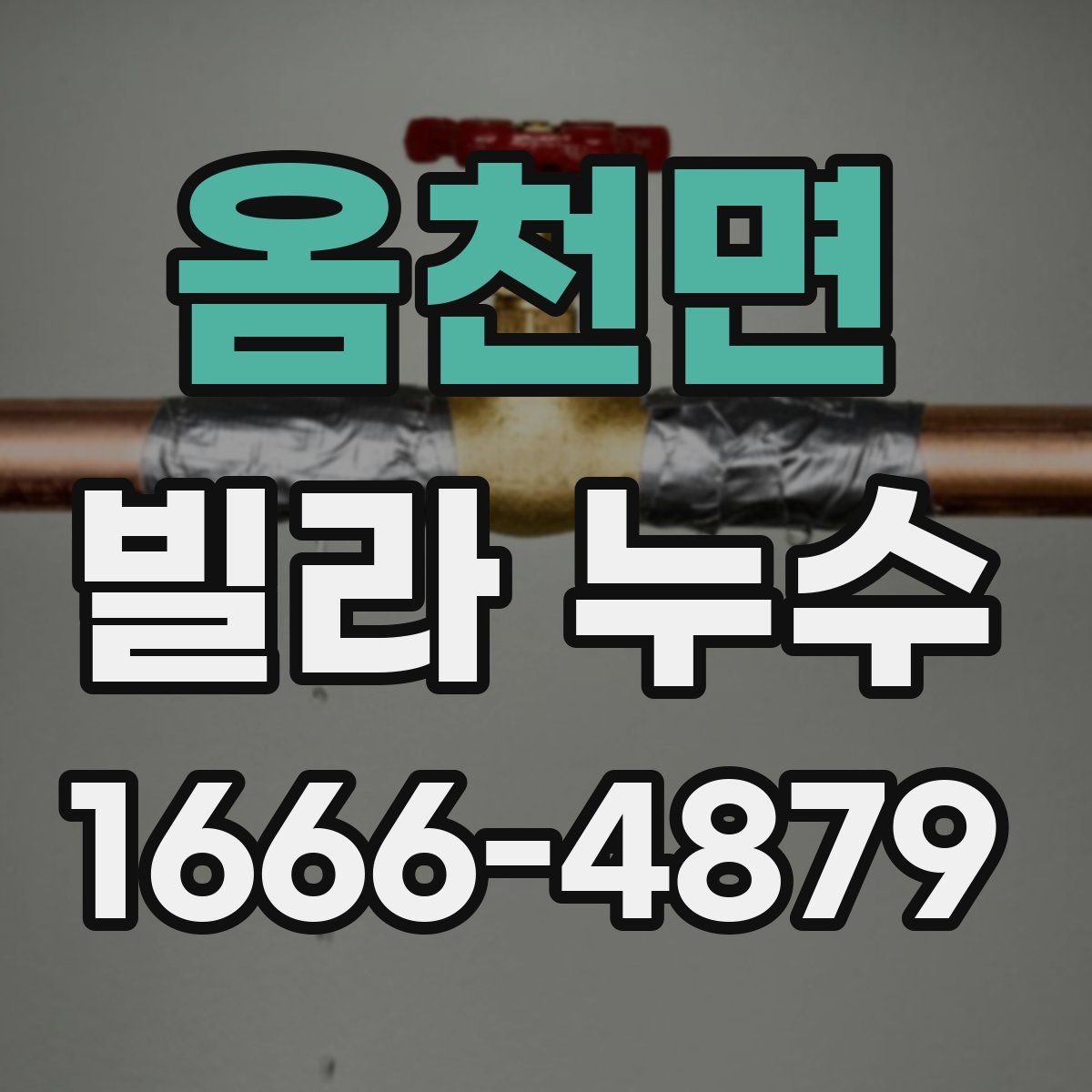 옴천면 빌라 누수