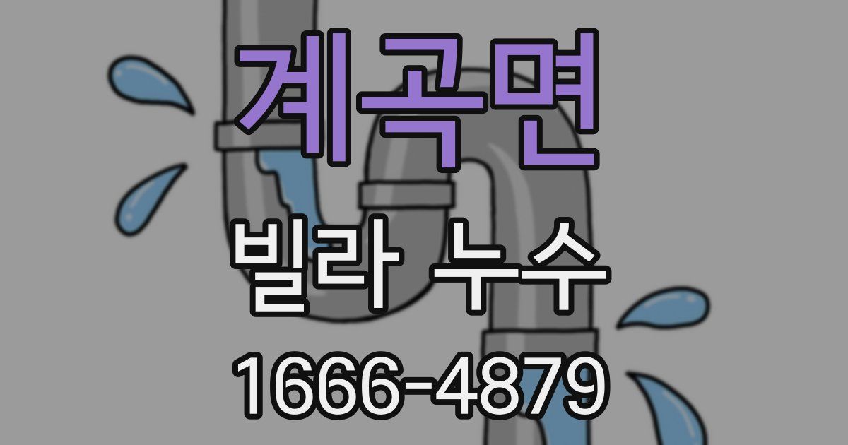 계곡면 빌라 누수