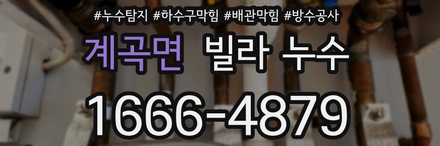 계곡면 빌라 누수