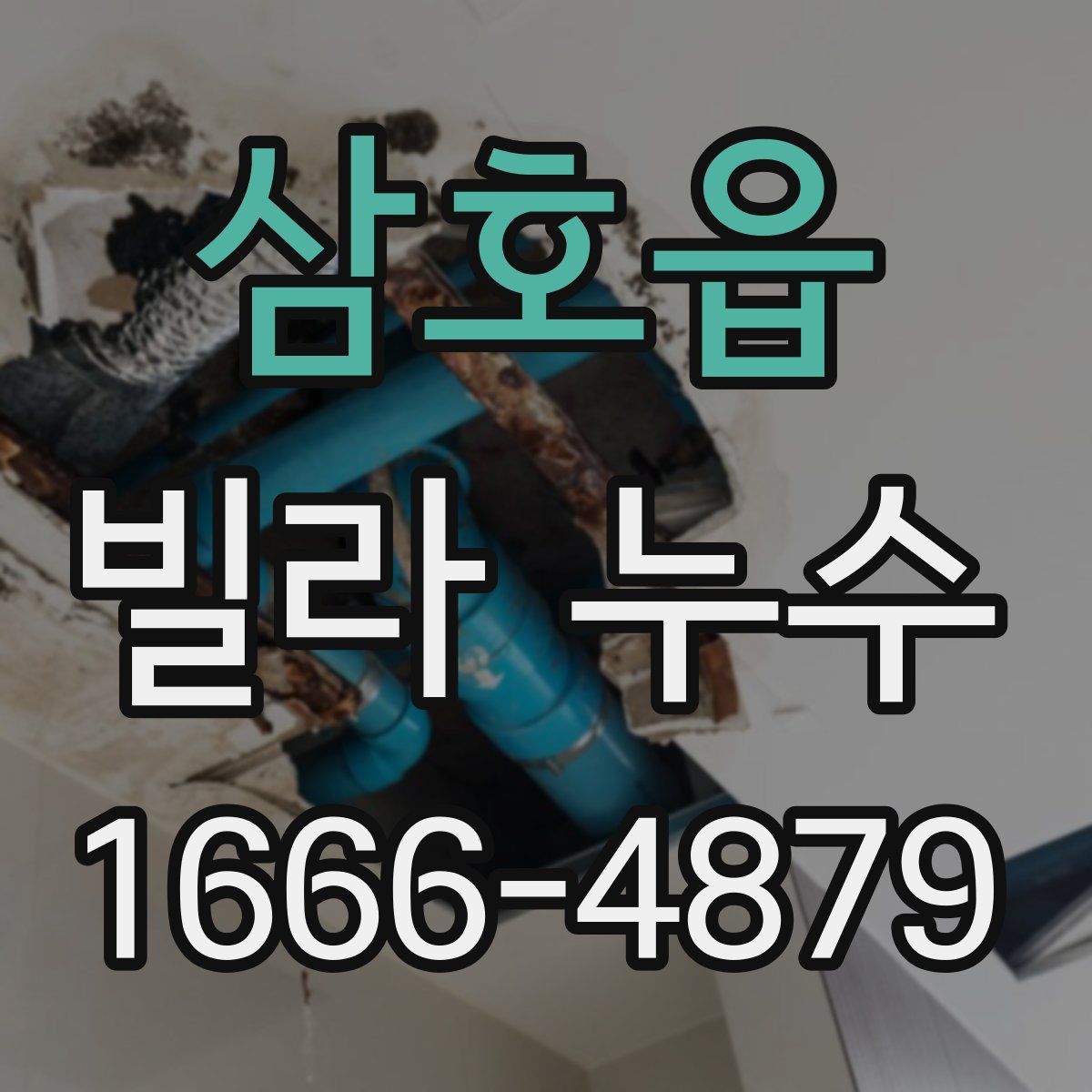 삼호읍 빌라 누수