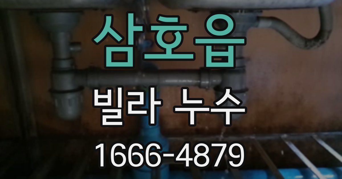 삼호읍 빌라 누수