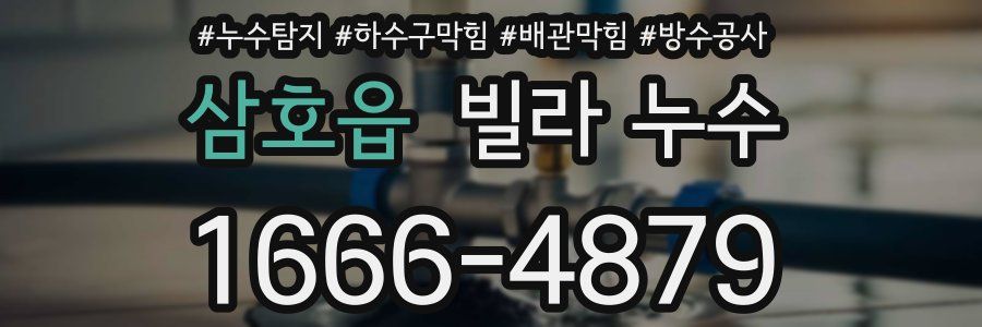 삼호읍 빌라 누수