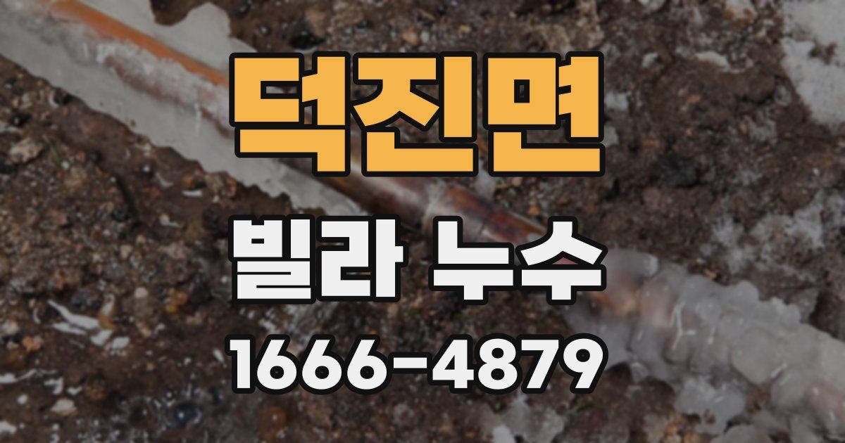 덕진면 빌라 누수
