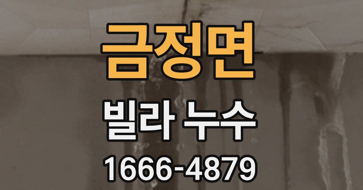 금정면 빌라 누수