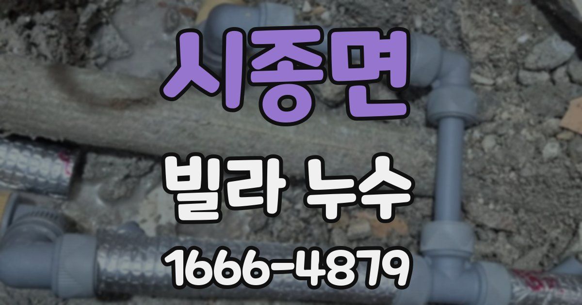 시종면 빌라 누수