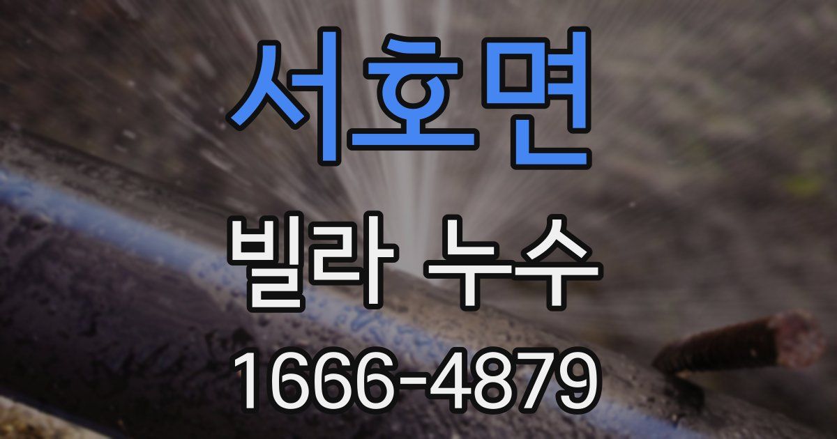 서호면 빌라 누수