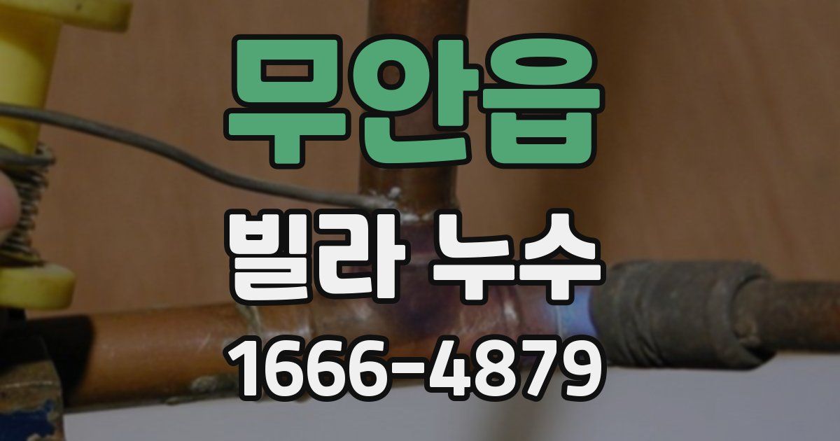 무안읍 빌라 누수