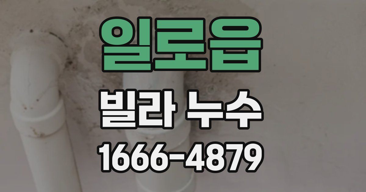 일로읍 빌라 누수