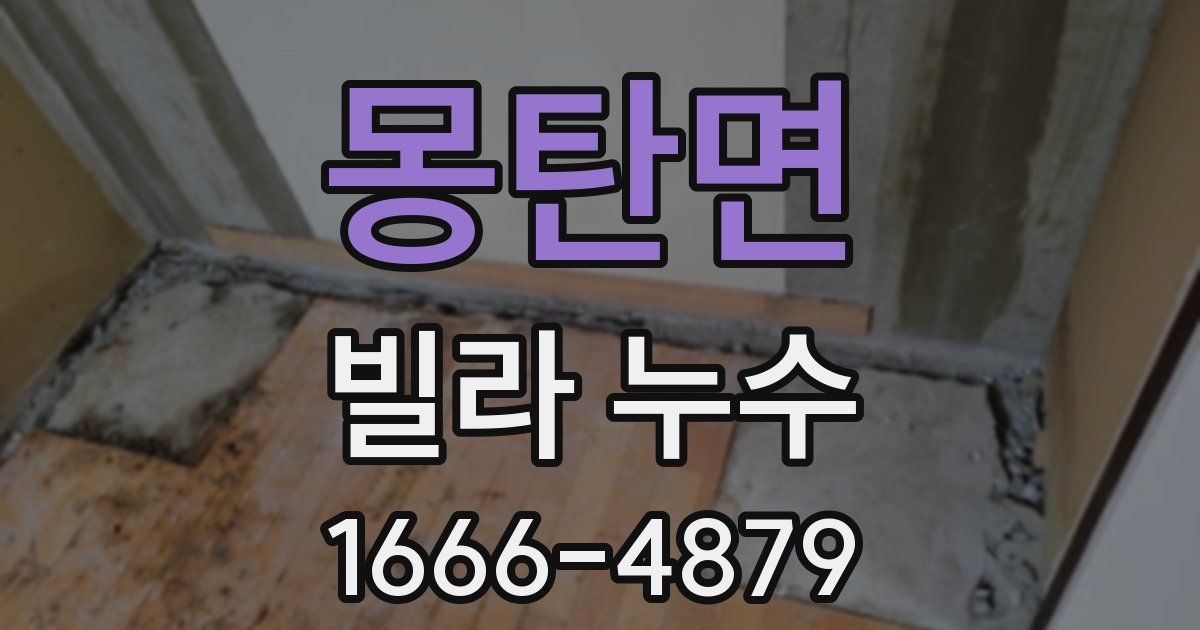 몽탄면 빌라 누수
