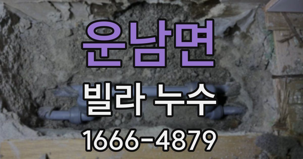 운남면 빌라 누수