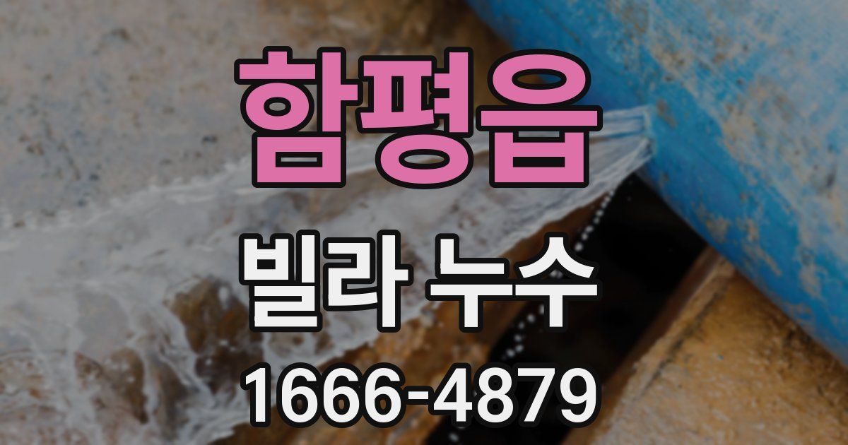 함평읍 빌라 누수