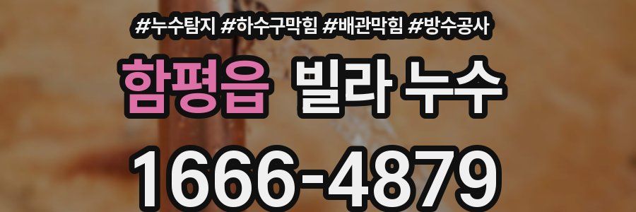 함평읍 빌라 누수