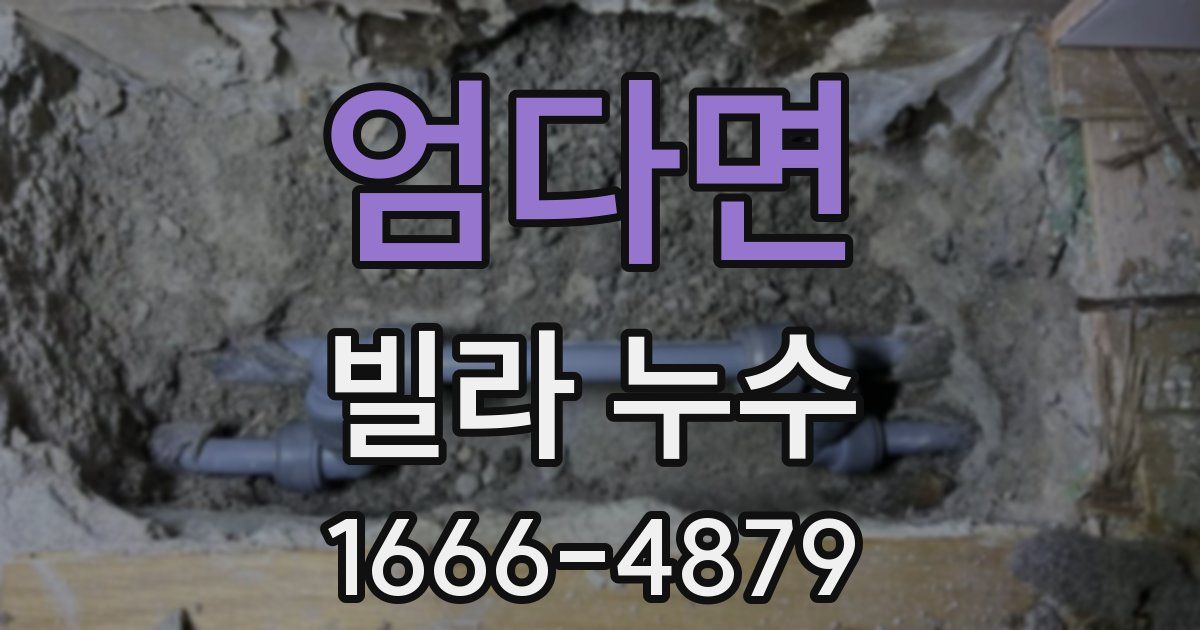 엄다면 빌라 누수