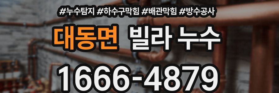 대동면 빌라 누수