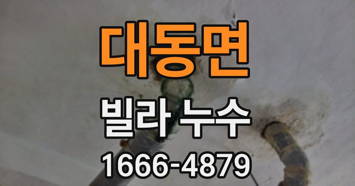 대동면 빌라 누수
