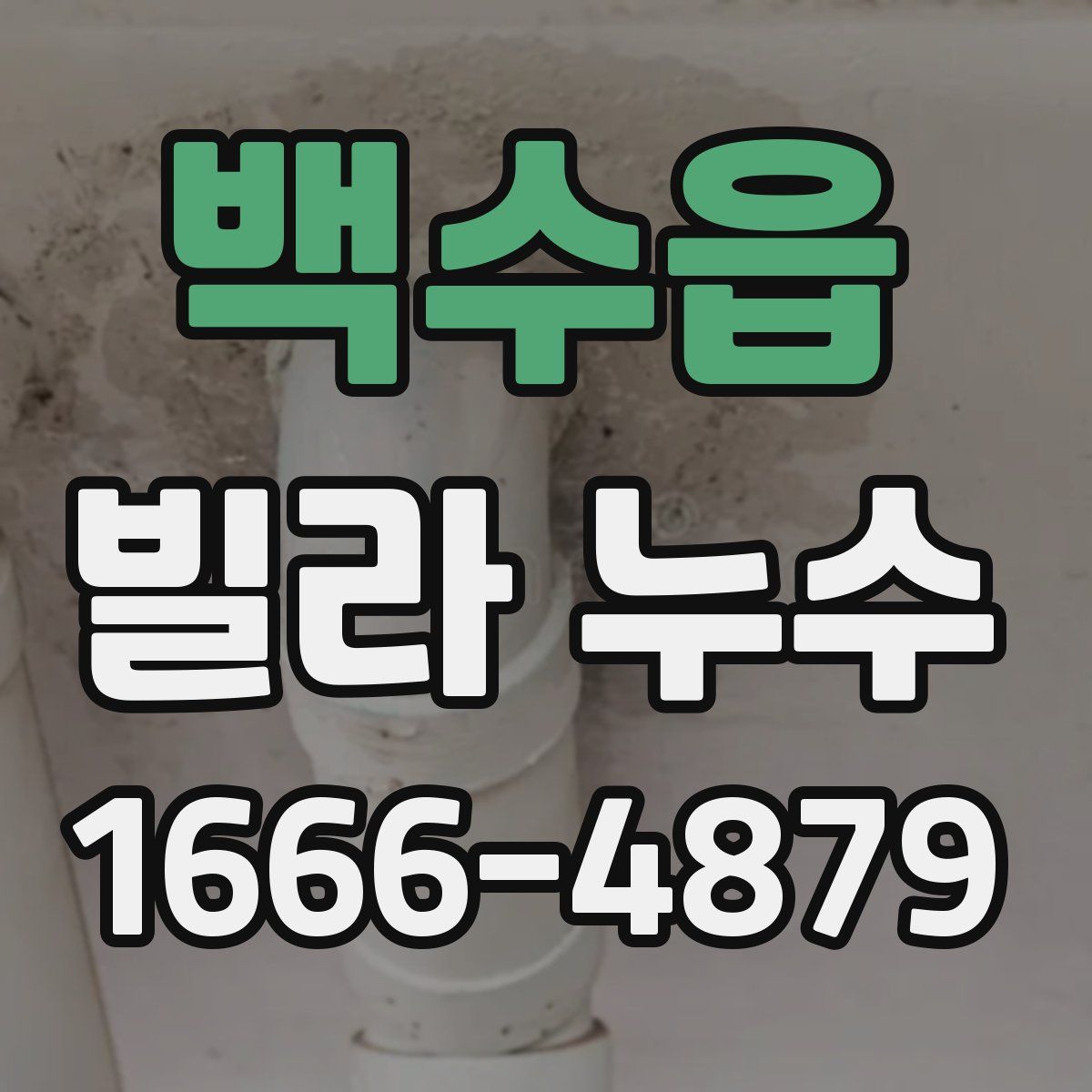 백수읍 빌라 누수