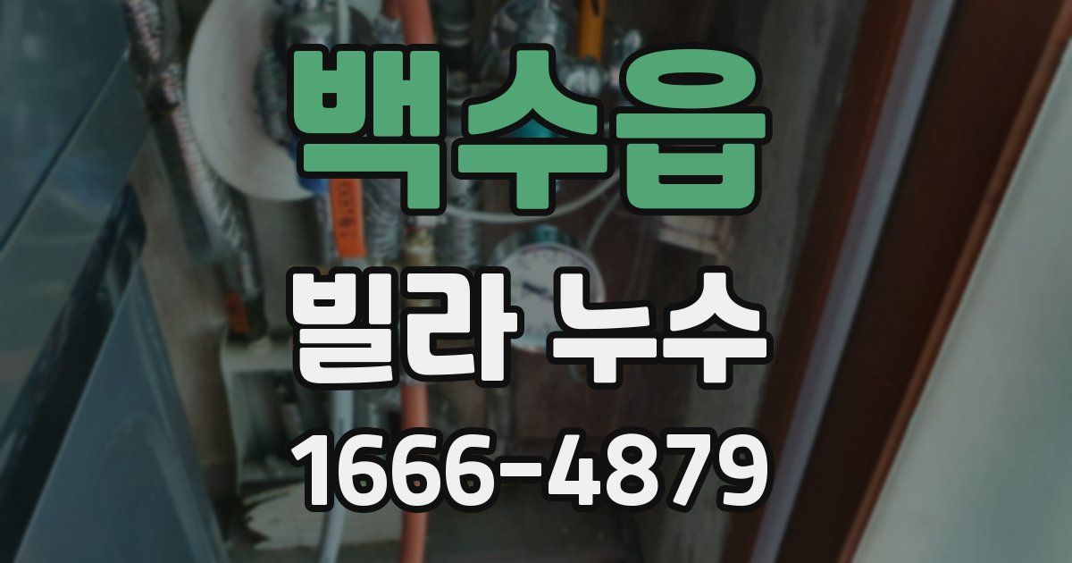 백수읍 빌라 누수