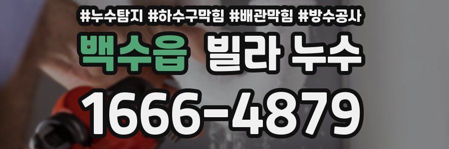 백수읍 빌라 누수