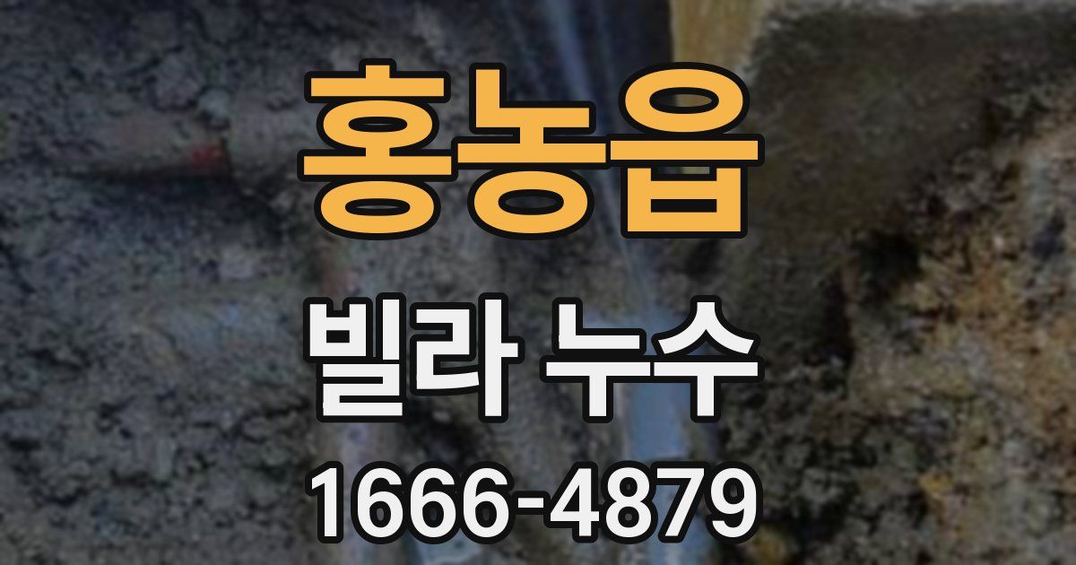 홍농읍 빌라 누수