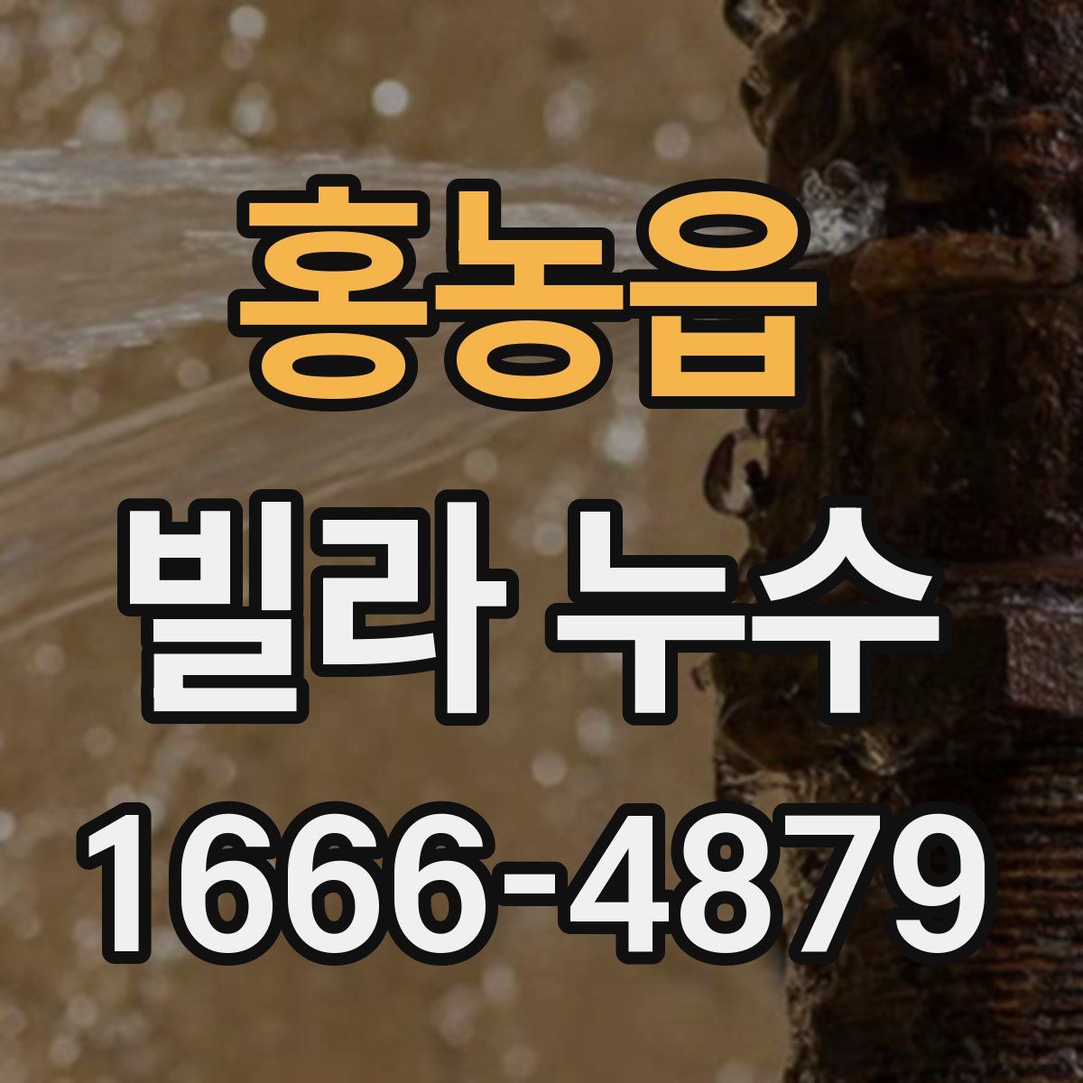 홍농읍 빌라 누수