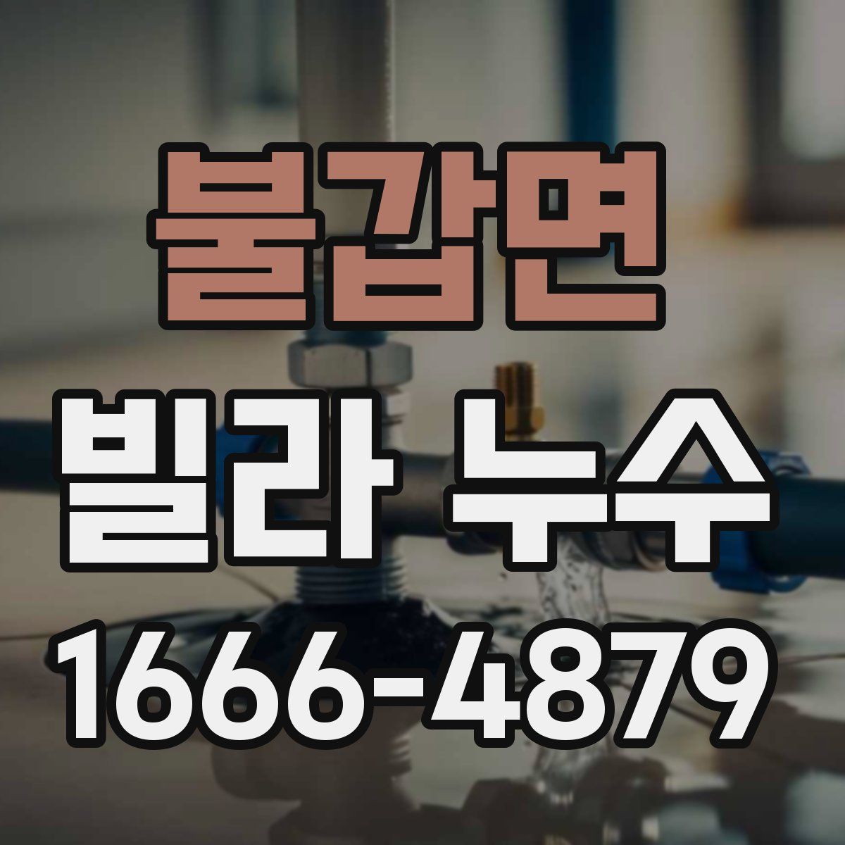 불갑면 빌라 누수