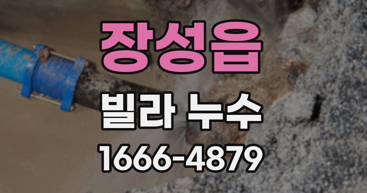 장성읍 빌라 누수