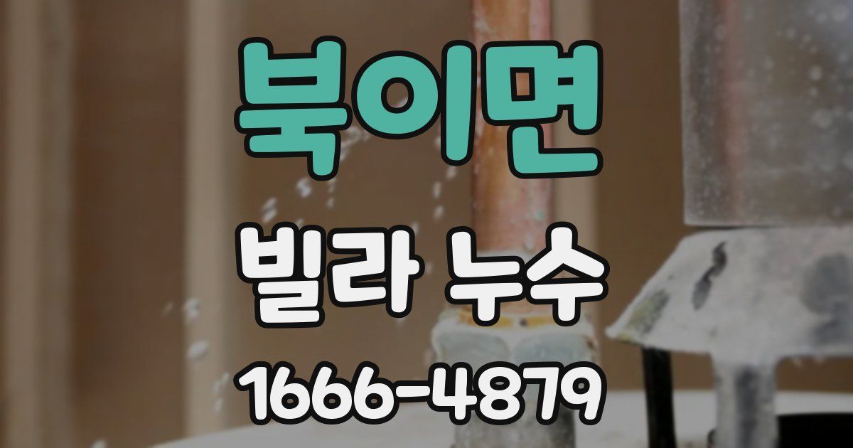 북이면 빌라 누수