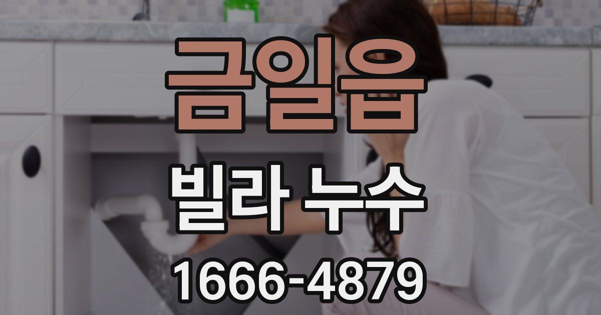 금일읍 빌라 누수