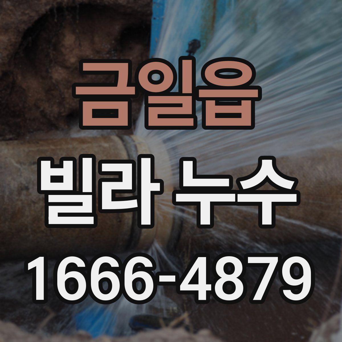 금일읍 빌라 누수