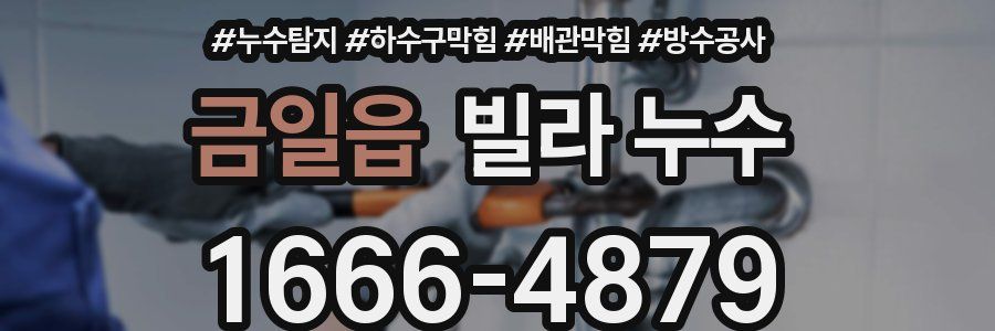 금일읍 빌라 누수