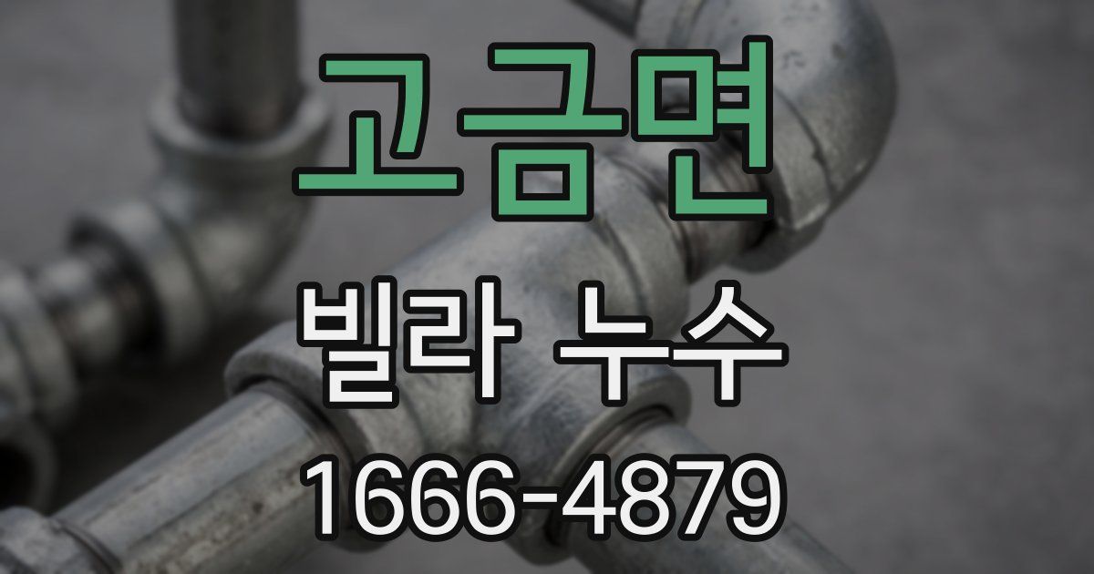 고금면 빌라 누수