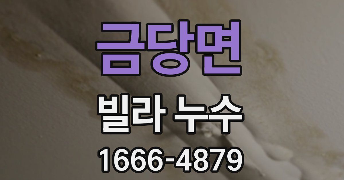 금당면 빌라 누수