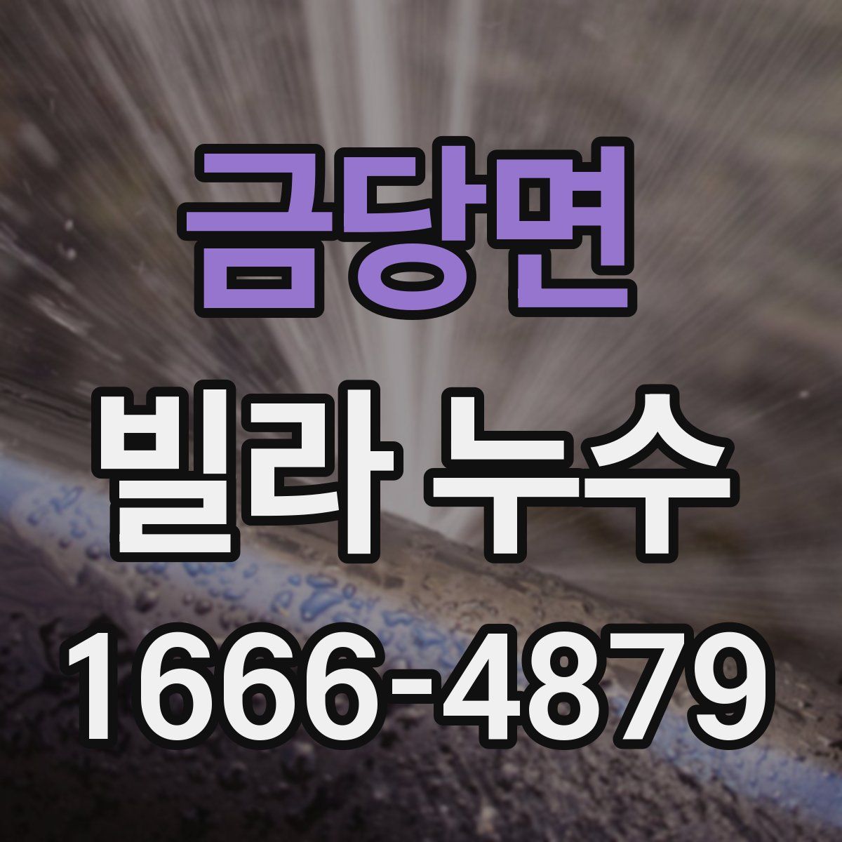 금당면 빌라 누수