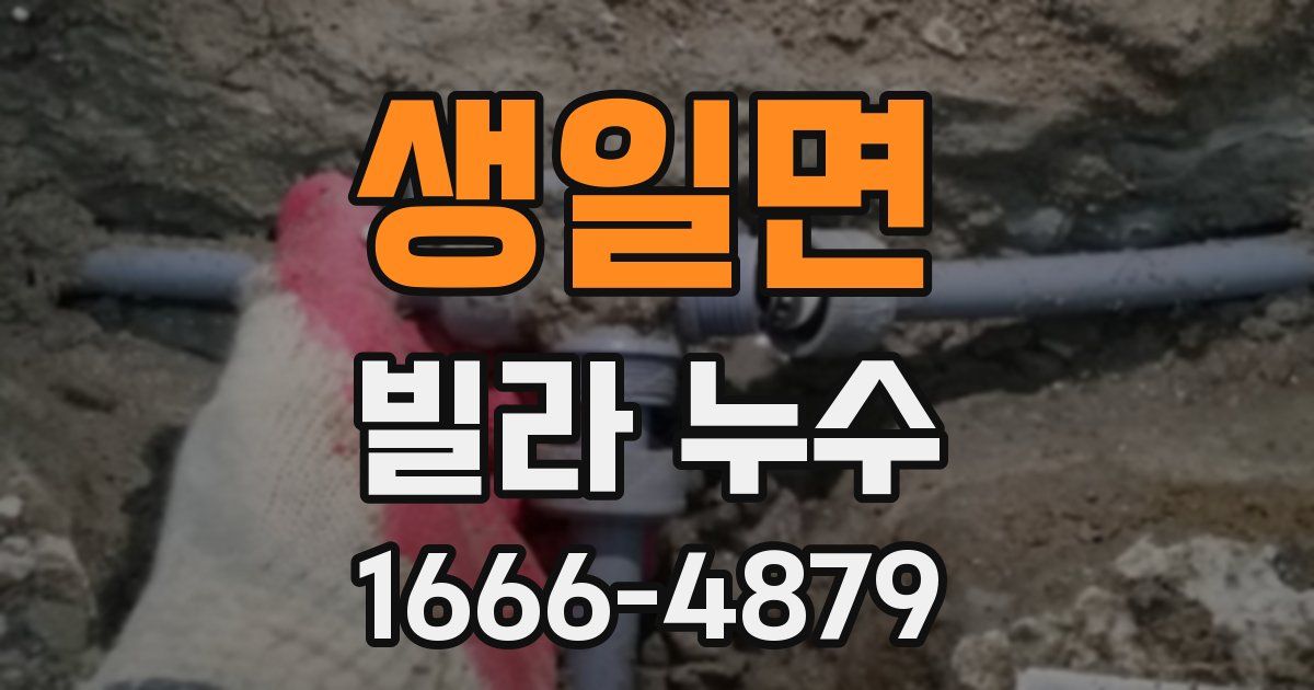 생일면 빌라 누수