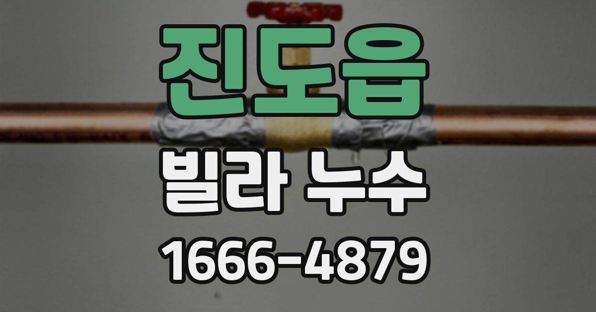 진도읍 빌라 누수