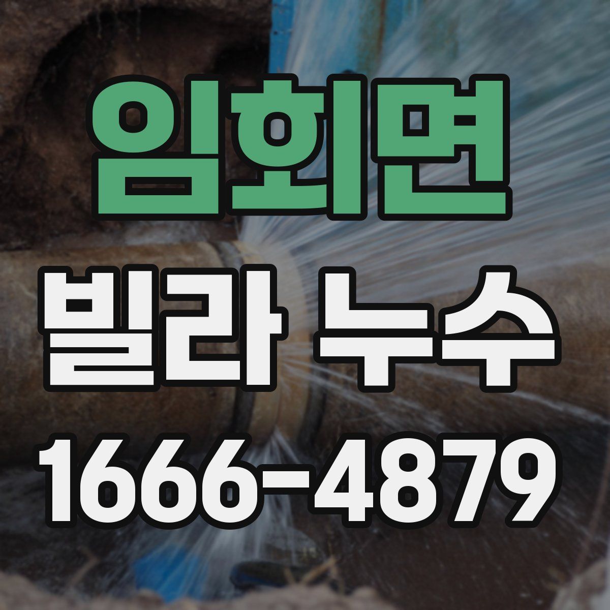 임회면 빌라 누수