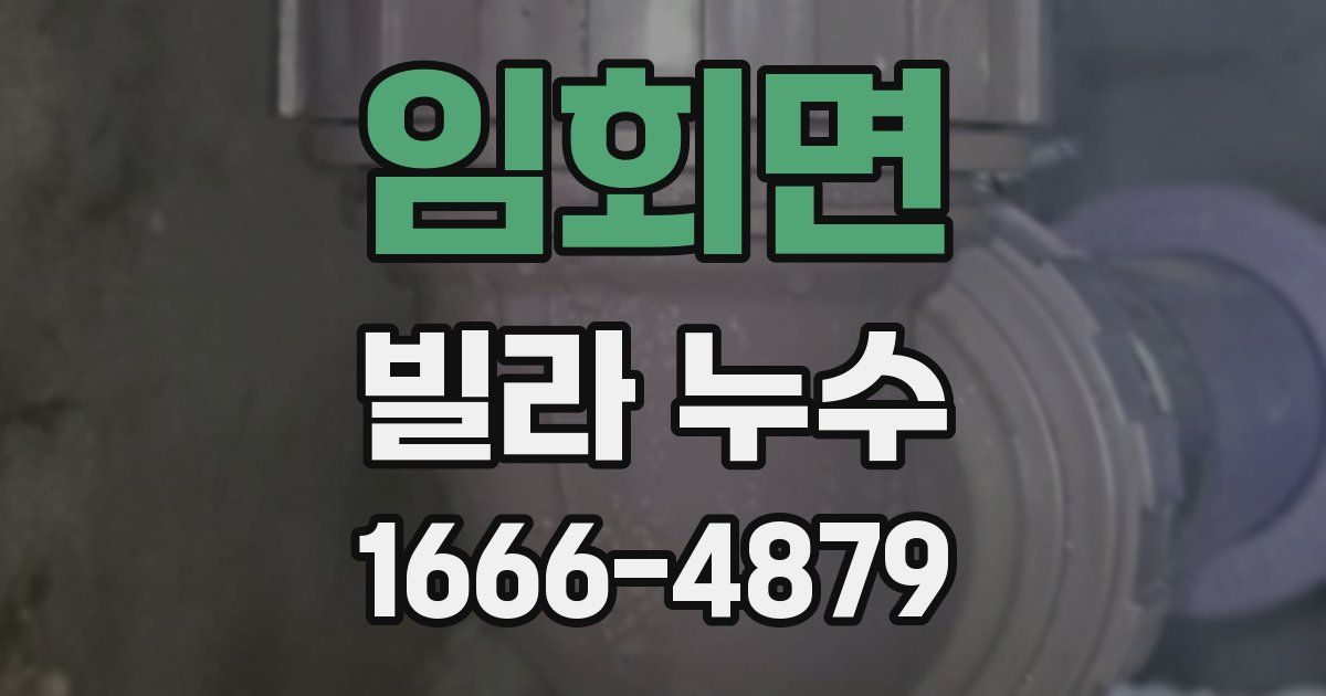 임회면 빌라 누수