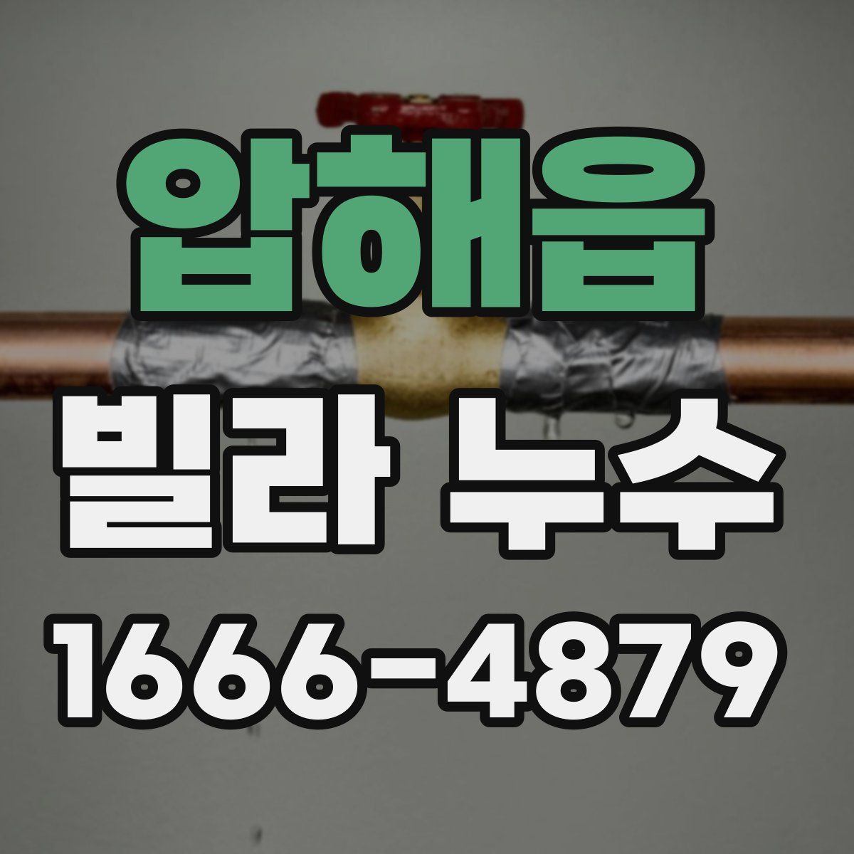 압해읍 빌라 누수