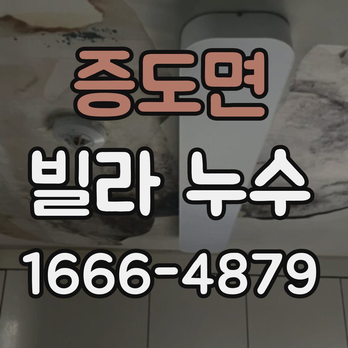 증도면 빌라 누수