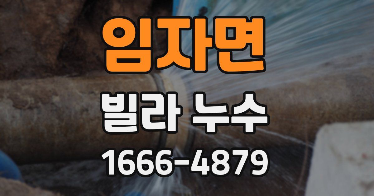 임자면 빌라 누수