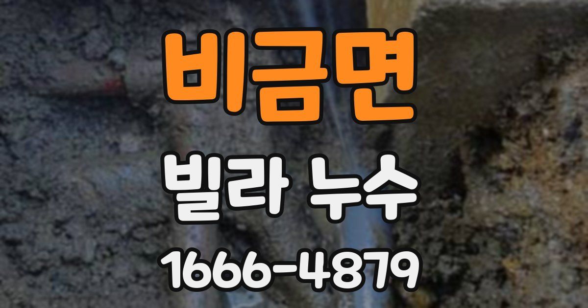 비금면 빌라 누수