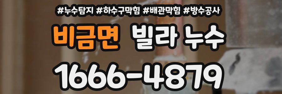 비금면 빌라 누수