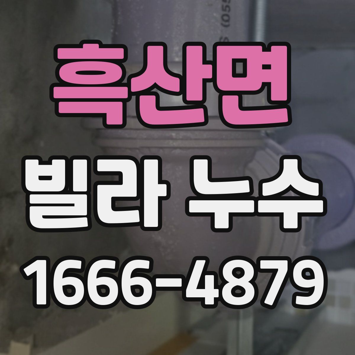 흑산면 빌라 누수
