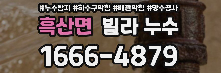 흑산면 빌라 누수