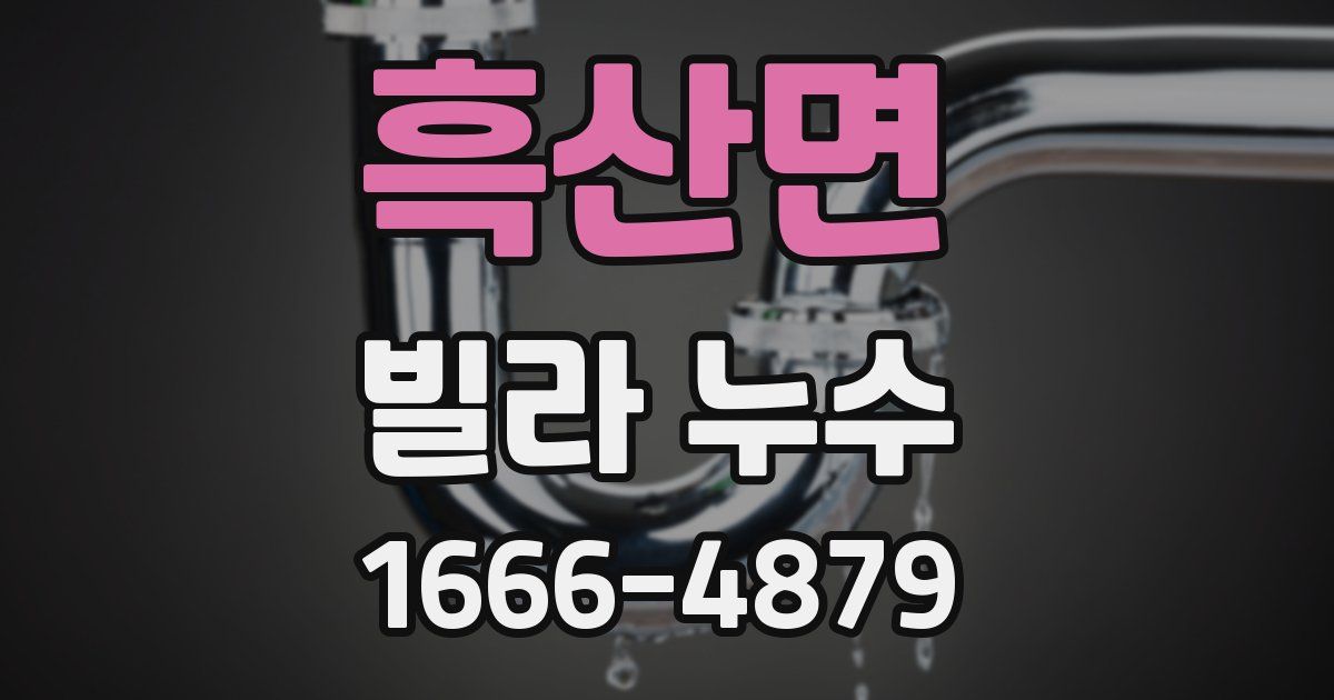 흑산면 빌라 누수