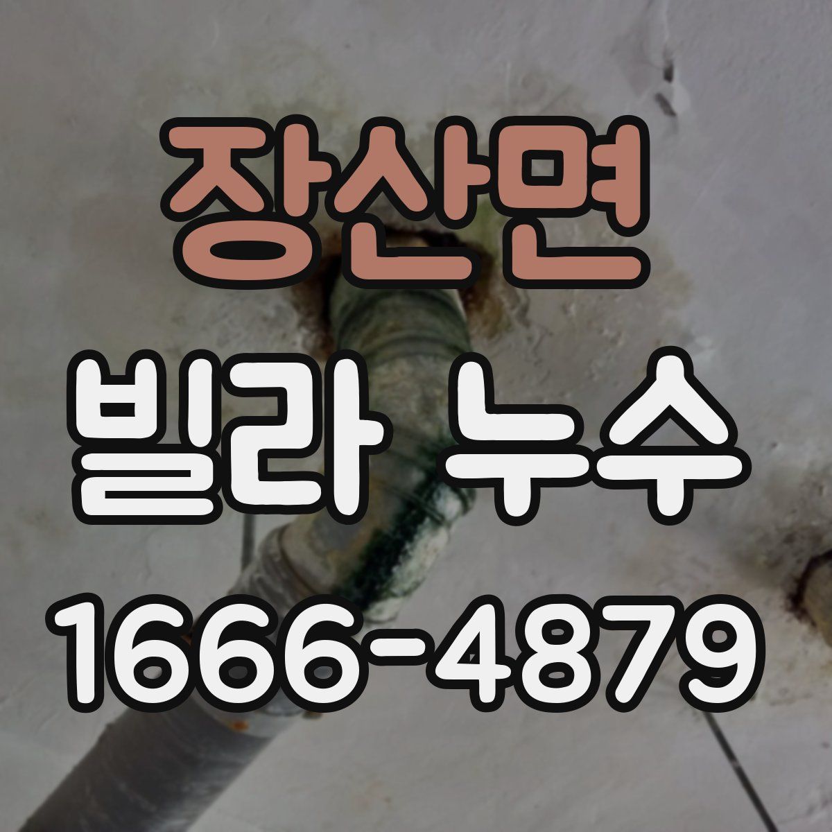 장산면 빌라 누수