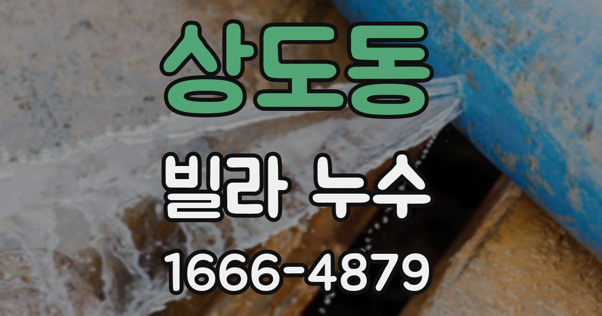 상도동 빌라 누수