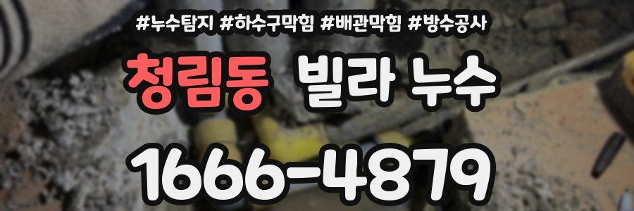 청림동 빌라 누수