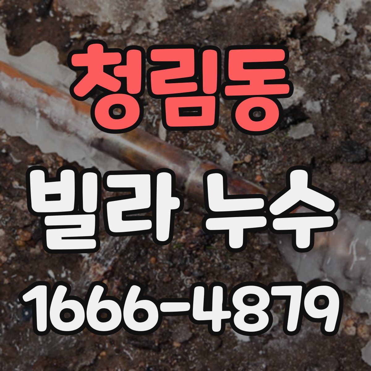 청림동 빌라 누수
