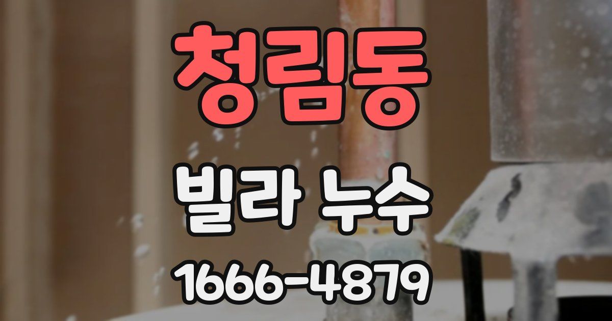 청림동 빌라 누수